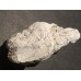 Kost dinosaura
